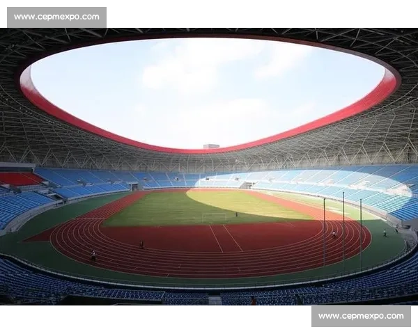 盐城奥体助威声浪掀翻穹顶 女球迷激情呐喊到腿抽筋